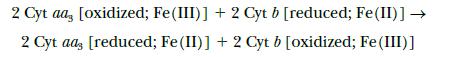 2 Cyt aa, [oxidized; Fe (III)] + 2 Cyt b [reduced; Fe (II)]  2 Cyt aas [reduced; Fe (II)] + 2 Cyt b