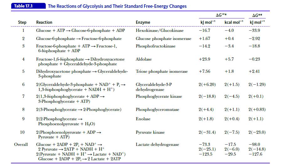 Table 17.1 Step Reaction 1 Glucose + ATP  Glucose-6-phosphate + ADP 2 Glucose-6-phosphate