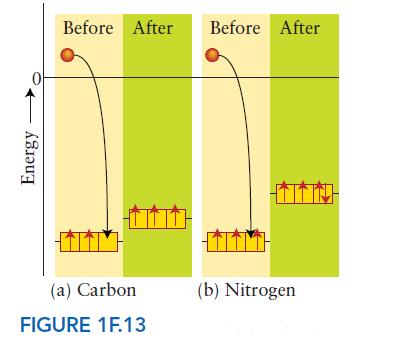 Energy Before After Before After (a) Carbon FIGURE 1F.13 (b) Nitrogen