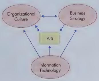 Organizational Culture AIS Information Technology Business Strategy