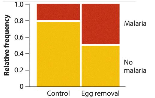 Relative frequency 1.0 0.8- 0.6 0.4 0.2- 0 Control Egg removal Malaria No malaria