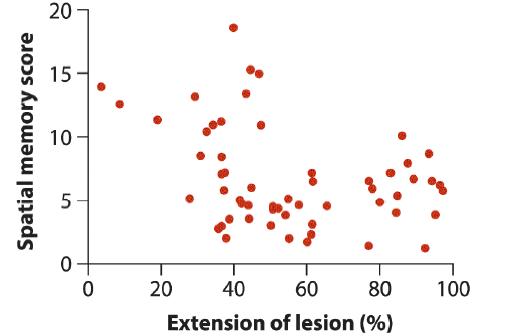 Spatial memory score 20 15 10- 5 0 0 40 60 80 Extension of lesion (%) 20 100
