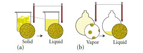 Solid (a) T Liquid (b) Vapor Liquid
