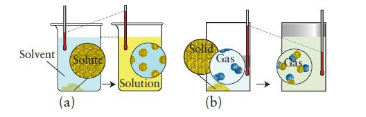 Solvent Solute (a) Solution Solid Gas (b)