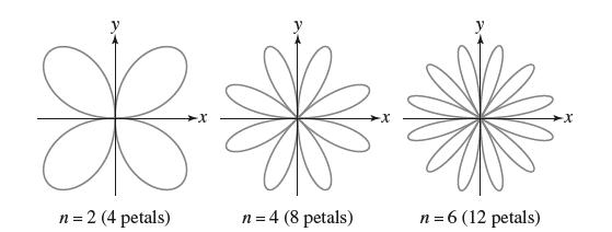 *. *. n = 4 (8 petals) B n = 2 (4 petals) n = 6 (12 petals)