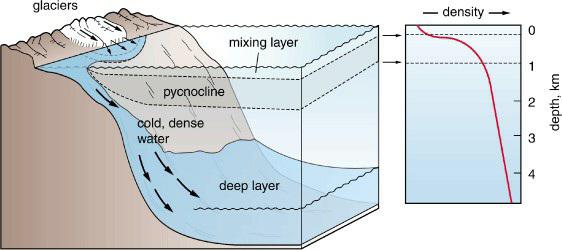 glaciers pycnocline cold, dense water mixing layer deep layer density T T 0 N 3 4 depth, km