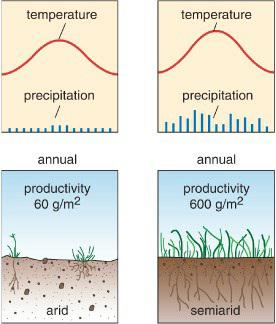 temperature precipitation 1 annual productivity 60 g/m arid temperature precipitation  annual productivity
