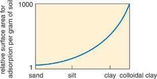 relative surface area for adsorption per gram of soil sand silt clay colloidal clay 1000