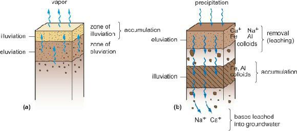 illuviation eluviation (a) vapor zone of zone of eluviation accumulation eluviation illuviation (b)