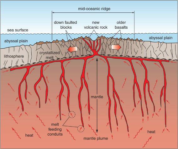 sea surface abyssal plain lithosphere mm m ~~ heat down faulted blocks crystallized melt melt feeding