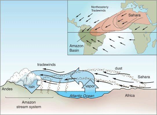 Andes rain tradewinds Amazon stream system Amazon Basin Northeasterly Tradewinds vapor Atlantic Ocean dust