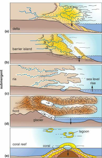 submergent (a)  (d) (e) delta barrier island ria fiord coral reef glacier B coral sea level rise lagoon