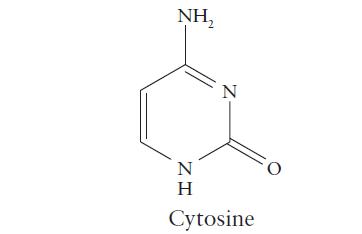 NH N ZH N Cytosine