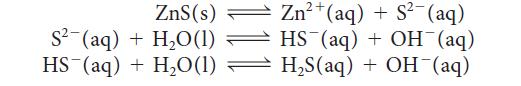 ZnS(s) S(aq) + H,O(1) HS (aq) + HO(1) 2+ Zn+ (aq) + S(aq) HS (aq) + OH(aq) HS(aq) + OH(aq)