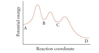 Potential energy A B C Reaction coordinate D