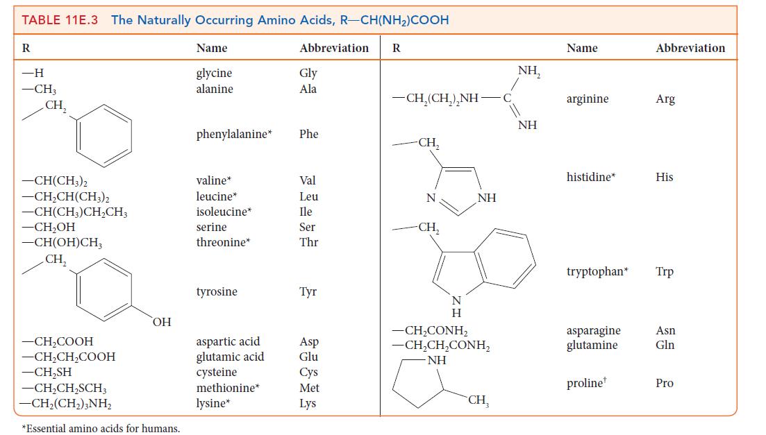TABLE 11E.3 The Naturally Occurring Amino Acids, R-CH(NH) COOH R -H -CH3 CH -CH(CH3)2 -CHCH(CH3)2 CH(CH3)