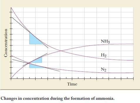 Concentration Time NH3 H N Changes in concentration during the formation of ammonia.