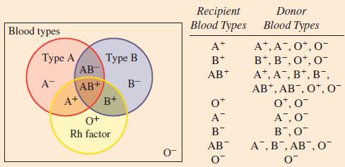 Blood types Type A A 4+ Type B AB- AB+/ B- B+ 0+ Rh factor 0- Recipient Blood Types A+ B+ AB+ A B AB O Donor