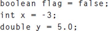 boolean flag int x = -3; double y = 5.0; false;