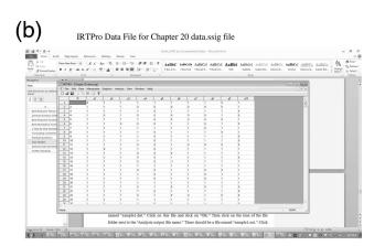 (b) IRTPro Data File for Chapter 20 data.ssig file m 4 GRES T x . DE WHISK