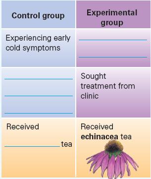 Control group Experimental group Experiencing early cold symptoms Received tea Sought treatment from clinic