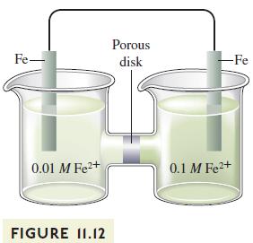 Fe- 0.01 M Fe+ FIGURE 11.12 Porous disk -Fe 0.1 M Fe+