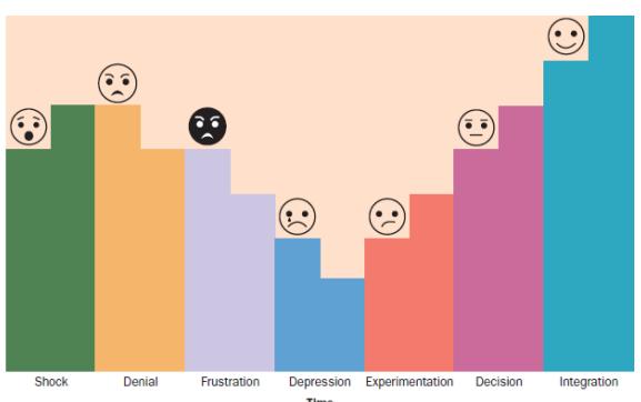 Shock Denial Frustration Depression Experimentation Time Decision Integration