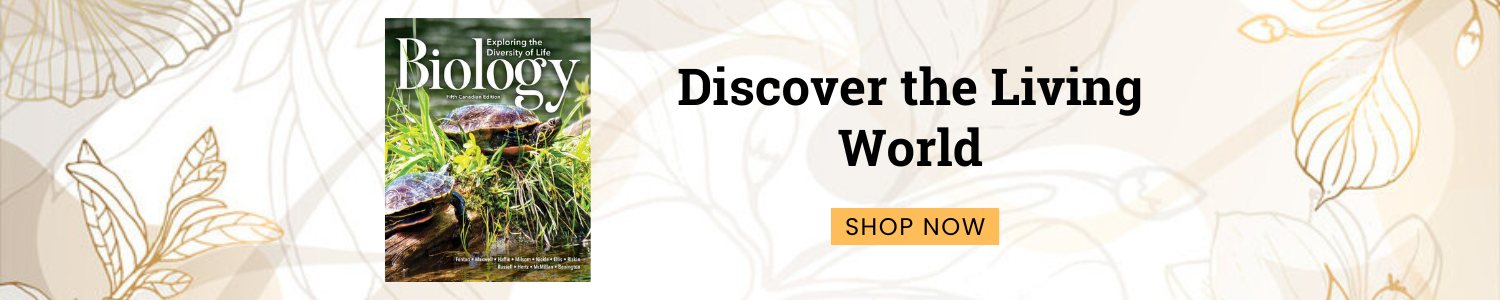 Promotional Banner Two