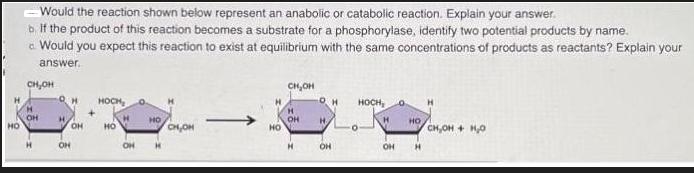 HO Would the reaction shown below represent an anabolic or catabolic reaction. Explain your answer. b. If the