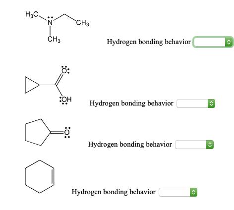 H3C N CH3 : :OH :0: CH3 Hydrogen bonding behavior Hydrogen bonding behavior Hydrogen bonding behavior