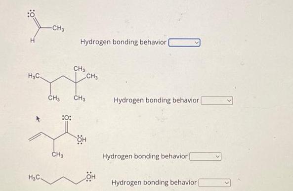 : HC HC -CH3 :0: Hydrogen bonding behavior. CH3 CH CH CH3  CH OH Hydrogen bonding behavior Hydrogen bonding