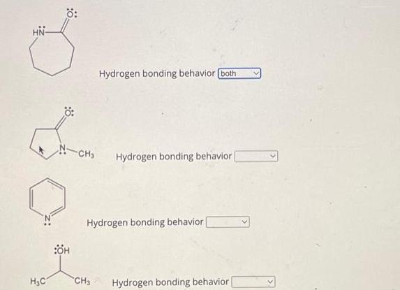 HC : :H -CH Hydrogen bonding behavior (both Hydrogen bonding behavior | Hydrogen bonding behavior CH3