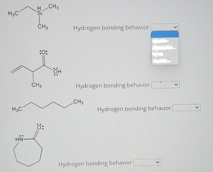H3C H3C HS CH3 :0: CH3 CH3 : HN- S  Hydrogen bonding behavior Hydrogen bonding behavior | CH3 Hydrogen