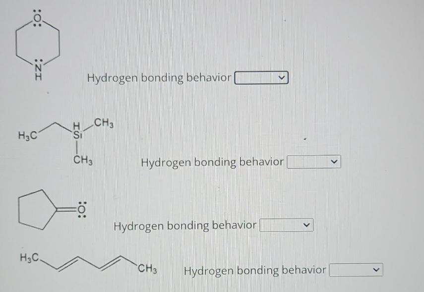 :O: IZ: H3C HC. Si Hydrogen bonding behavior CH3 :0: CH3 Hydrogen bonding behavior Hydrogen bonding behavior