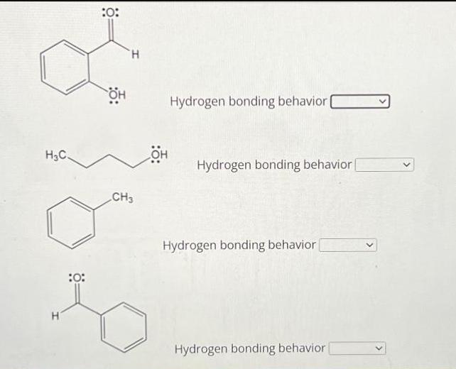 HC H :0: :0: OH H CH3 Hydrogen bonding behavior Hydrogen bonding behavior [ Hydrogen bonding behavior