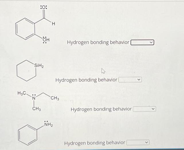 :0: H3CN SiH OH CH3 H CH3 NH Hydrogen bonding behavior | Hydrogen bonding behavior | Hydrogen bonding