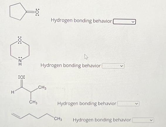 a :0: :0: Hydrogen bonding behavior Hydrogen bonding behavior [ :0: Ja CH3 H CH3 Hydrogen bonding behavior.