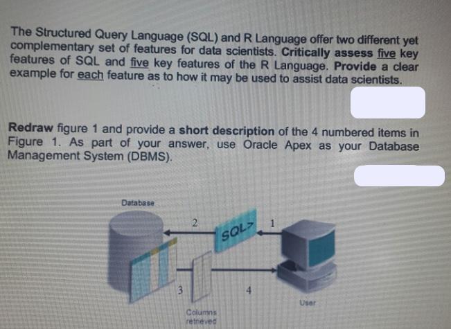 The Structured Query Language (SQL) and R Language offer two different yet complementary set of features for