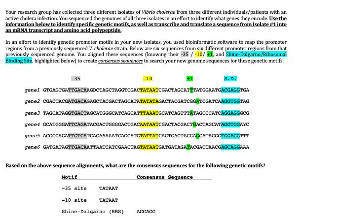 Your research group has collected three different isolates of Vibrio cholerae from three different