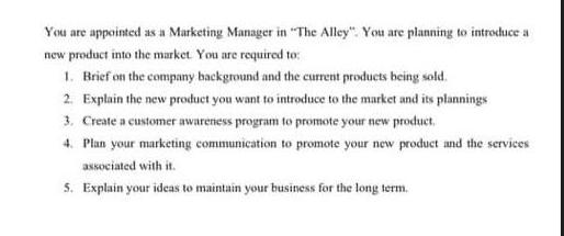 You are appointed as a Marketing Manager in 