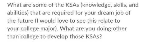 What are some of the KSAS (knowledge, skills, and abilities) that are required for your dream job of the