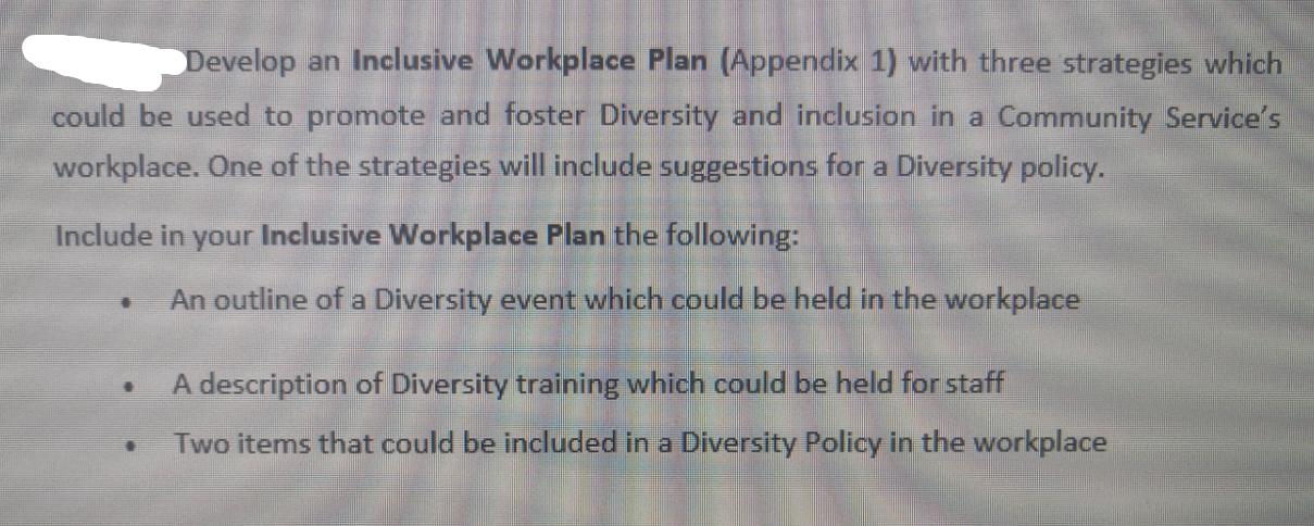 Develop an Inclusive Workplace Plan (Appendix 1) with three strategies which could be used to promote and