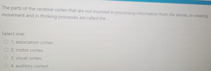 The parts of the cerebral cortex that are not involved in processing information from the senses, in creating