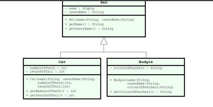 Cat numberOfTeeth: int lengthofTail: int name: String ownerName: String + Pet (name: String, ownerName:
