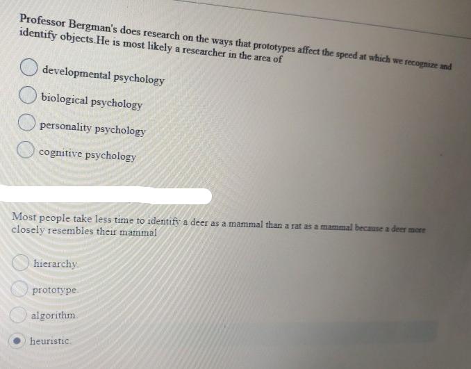 Professor Bergman's does research on the ways that prototypes affect the speed at which we recognize and