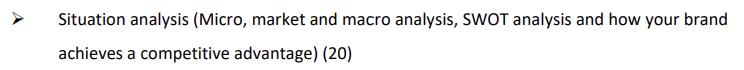 Situation analysis (Micro, market and macro analysis, SWOT analysis and how your brand achieves a competitive