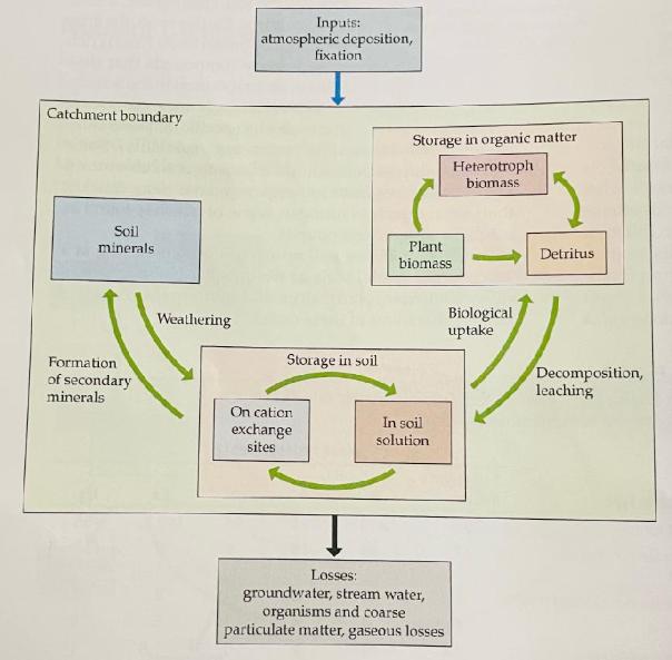 Catchment boundary Soil minerals. Formation of secondary minerals Weathering Inputs: atmospheric deposition,