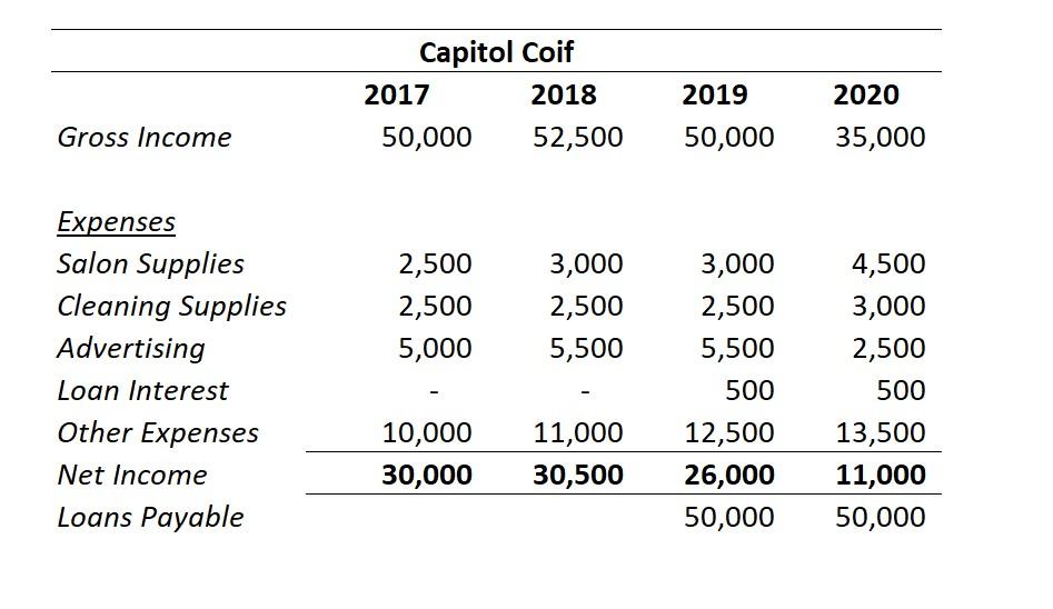 Gross Income Expenses Salon Supplies Cleaning Supplies Advertising Loan Interest Other Expenses Net Income