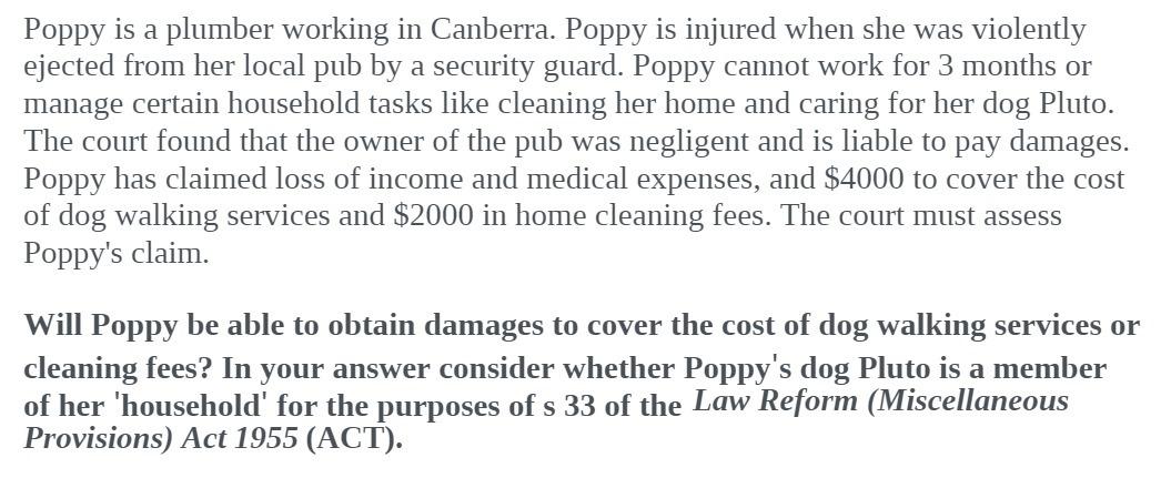 Poppy is a plumber working in Canberra. Poppy is injured when she was violently ejected from her local pub by