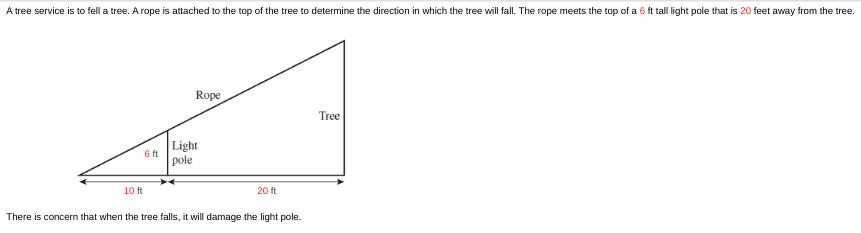 A tree service is to fell a tree. A rope is attached to the top of the tree to determine the direction in
